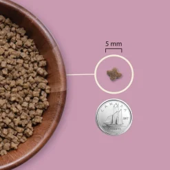 Acana Cat Kitten Highest Protein | 1,8 kg