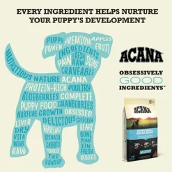 Acana Dog Puppy Small Breed Recipe | 2 kg
