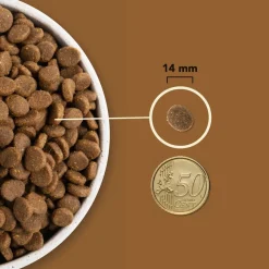 Acana Dog Ranchlands | 2 kg