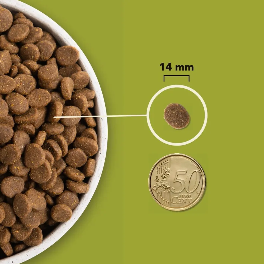 Acana Dog Regionals Grasslands | 2 kg