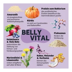 BugBell Softer Funktionssnack BellyVital | 12 x 60 g