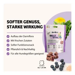 BugBell Softer Funktionssnack BellyVital | 12 x 60 g