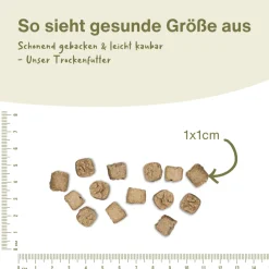 Escapure Trockenfutter Wild | 12 kg