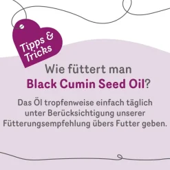Grau Hund Black Cumin Seed Oil | 100 ml