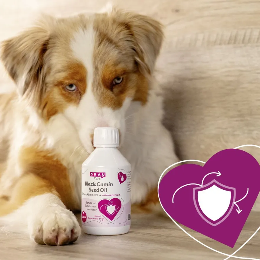 Grau Hund Black Cumin Seed Oil | 100 ml