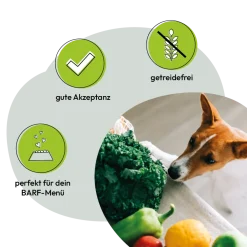 Grau Hund Gemüsemix Mischung Nr. 2 | 150 g