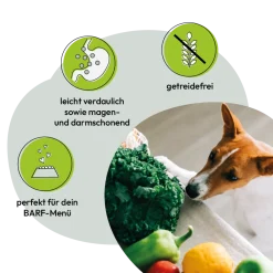 Grau Hund Gemüsemix Mischung Nr. 1 | 150 g