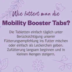 Grau Hund Hokamix Mobility Booster Tabs | 90 Stück