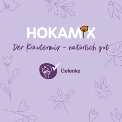 Grau Hund Hokamix Mobility Booster Tabs | 90 Stück