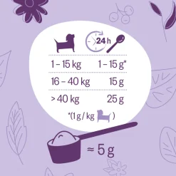 Grau Hund Hokamix Mobility Booster Pulver | 150 g