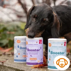Grau Hund Hokamix Mobility Booster Pulver | 150 g