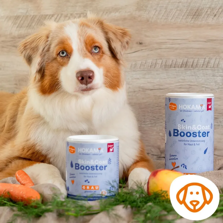 Grau Hund Hokamix Skin & Coat Booster | 350 g
