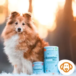 Grau Hund Hokamix Vitality Booster Snack Mini | 400 g