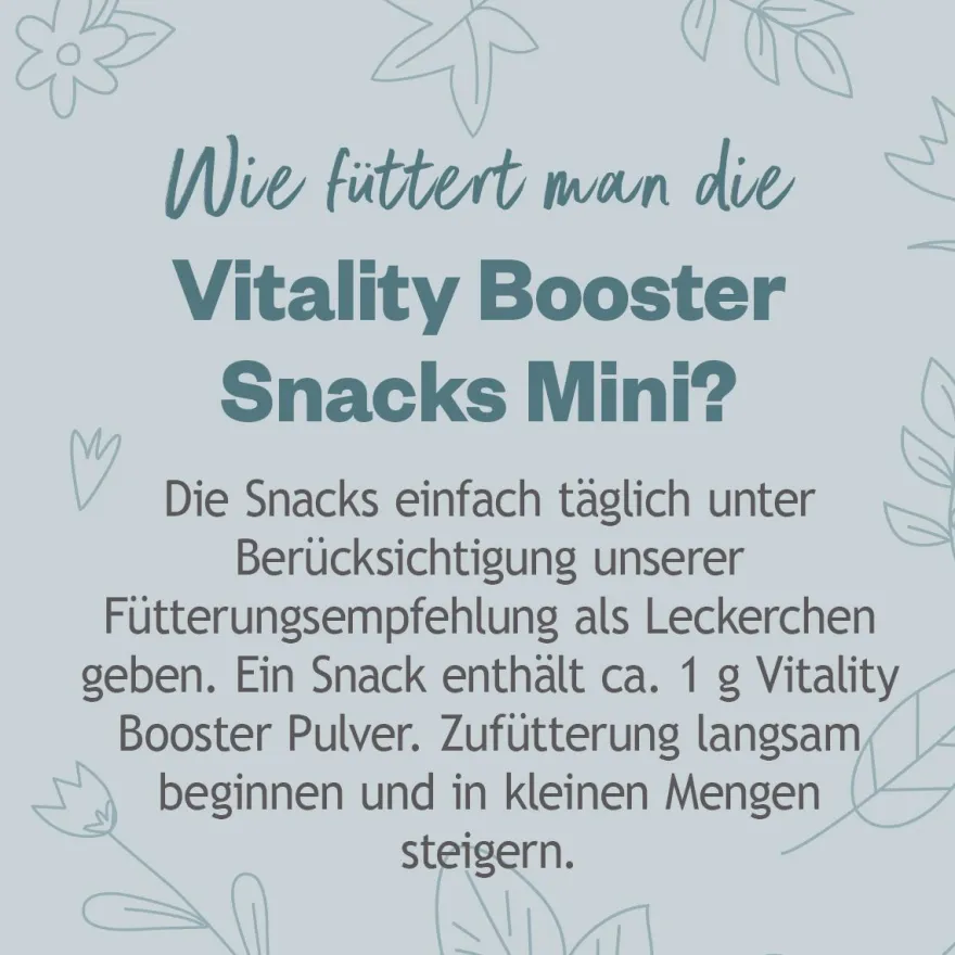Grau Hund Hokamix Vitality Booster Snack Mini | 400 g