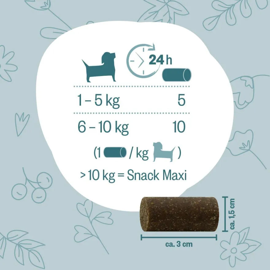Grau Hund Hokamix Vitality Booster Snack Mini | 400 g