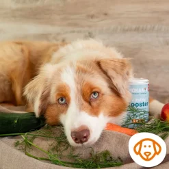 Grau Hund Hokamix Vitality Booster Snack Maxi | 400 g