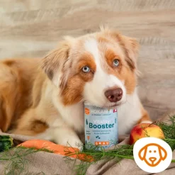 Grau Hund Hokamix Vitality Booster Pulver | 150 g