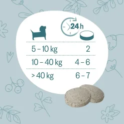 Grau Hund Hokamix Vitality Booster Tabs | 80 Stück