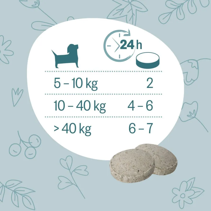 Grau Hund Hokamix Vitality Booster Tabs | 80 Stück