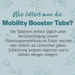 Grau Hund Hokamix Vitality Booster Tabs | 80 Stück