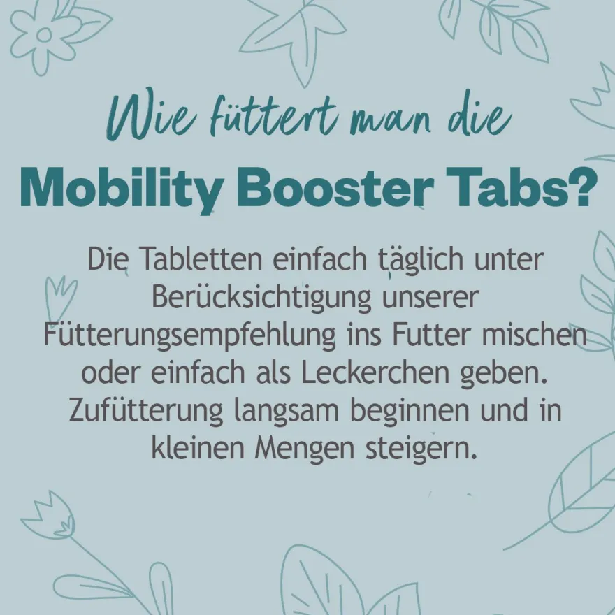 Grau Hund Hokamix Vitality Booster Tabs | 80 Stück
