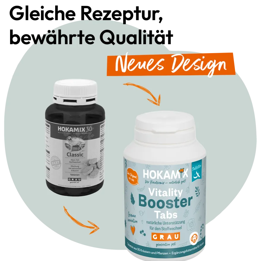 Grau Hund Hokamix Vitality Booster Tabs | 80 Stück