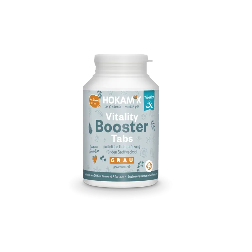 Grau Hund Hokamix Vitality Booster Tabs | 80 Stück
