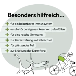 Grau Hund & Katze Bierhefe | 150 g