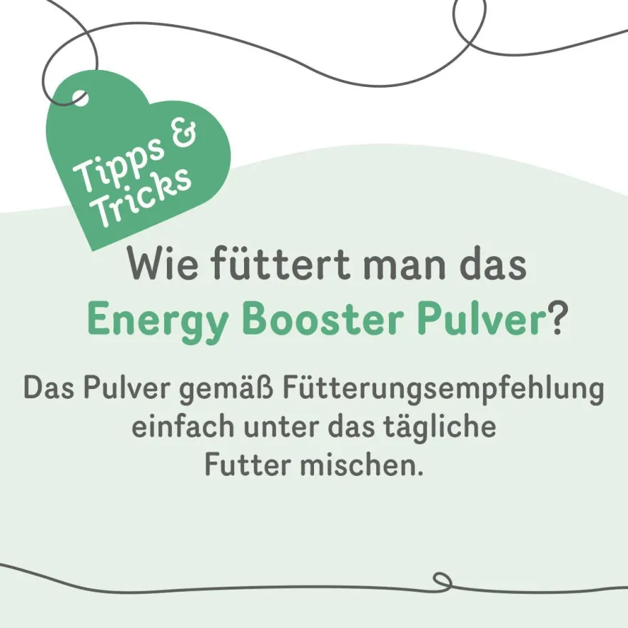 Grau Hund & Katze Energy Booster Pulver | 50 g