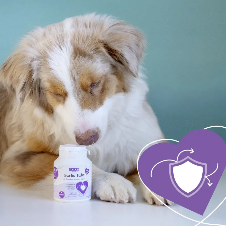 Grau Hund & Katze Garlic Tabs | 200 Stück