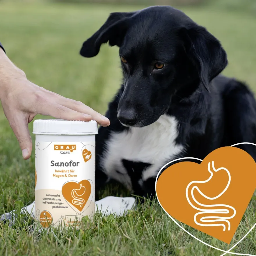Grau Hund & Katze Sanofor | 150 g