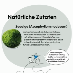 Grau Hund & Katze Seealgenmehl | 200 g