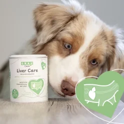 Grau Hund Liver Care Pulver | 75 g