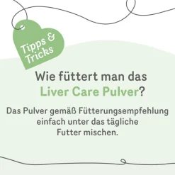 Grau Hund Liver Care Pulver | 75 g