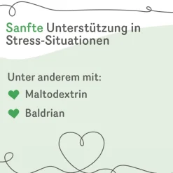 Grau Hund StressLess Tabs | 120 Stück
