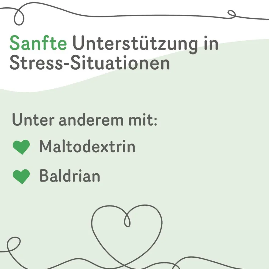 Grau Hund StressLess Tabs | 120 Stück