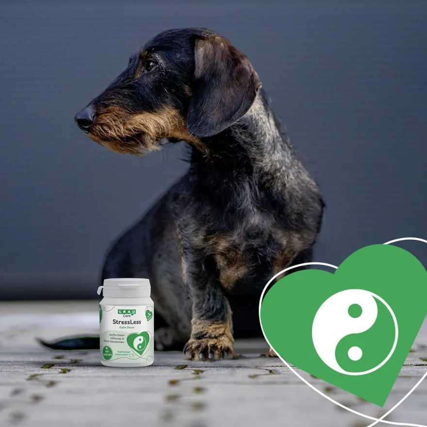 Grau Hund StressLess Tabs | 120 Stück