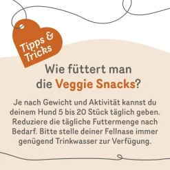 Grau Hund Veggie Snacks | 160 g