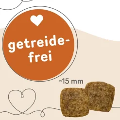 Grau Hund Veggie Snacks | 160 g