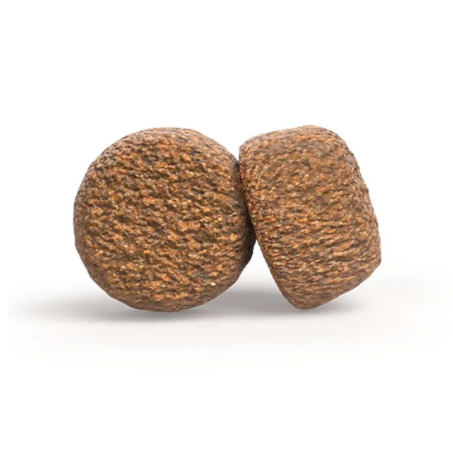 Josera Balance Senior | 900 g