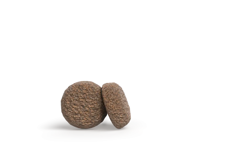 Josera Mini Lamm | 900 g