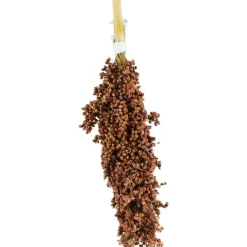 JR Birds Dari-Kolben | 100 g