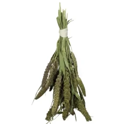 JR Birds Grüne Senegalhirse | 50 g