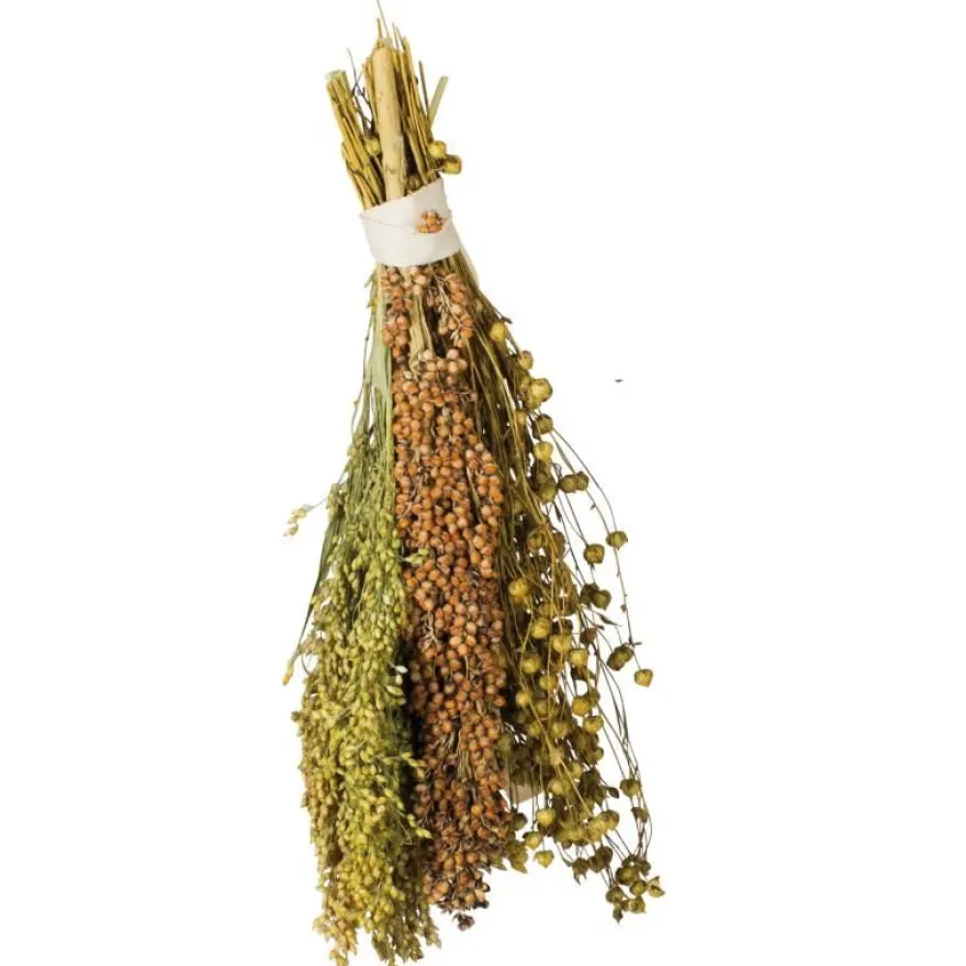 JR Birds Pick & Fly | 130 g