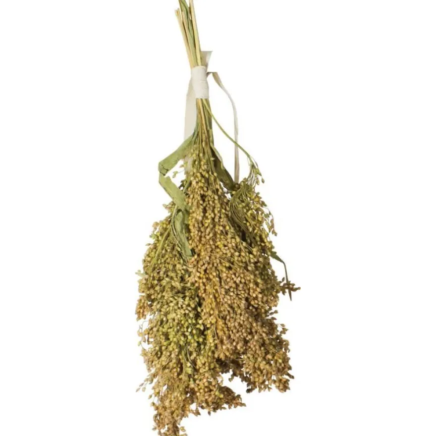JR Birds Rispenhirse | 100 g