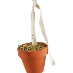 JR Birds Tontöpfchen Wellensittich & Kanarien | 80 g