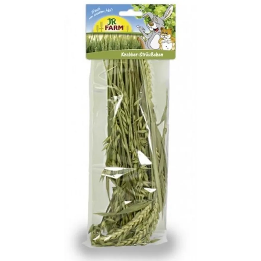 JR Farm Knabber-Sträußchen | 25 g