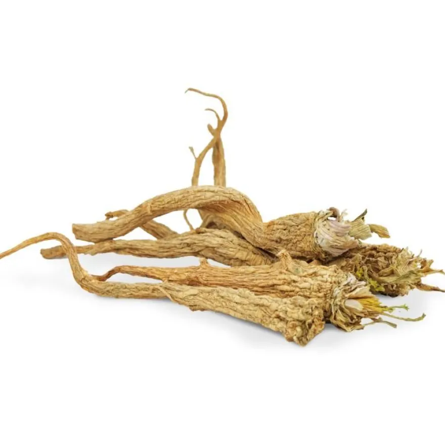 JR Farm Petersilien-Wurzeln | 50 g