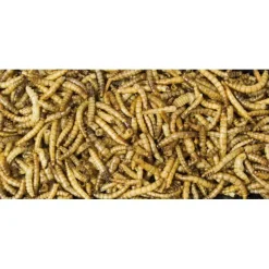 JR Garden Wildvogel Mehlwürmer Eimer | 400 g