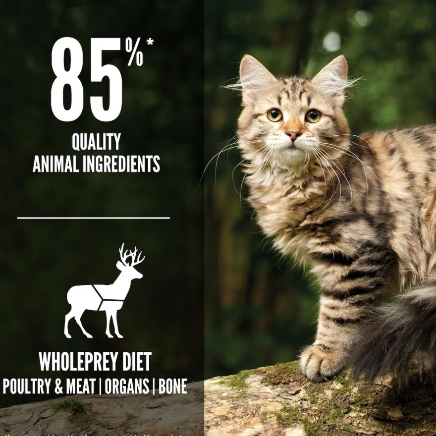 Orijen Cat Tundra | 340 g